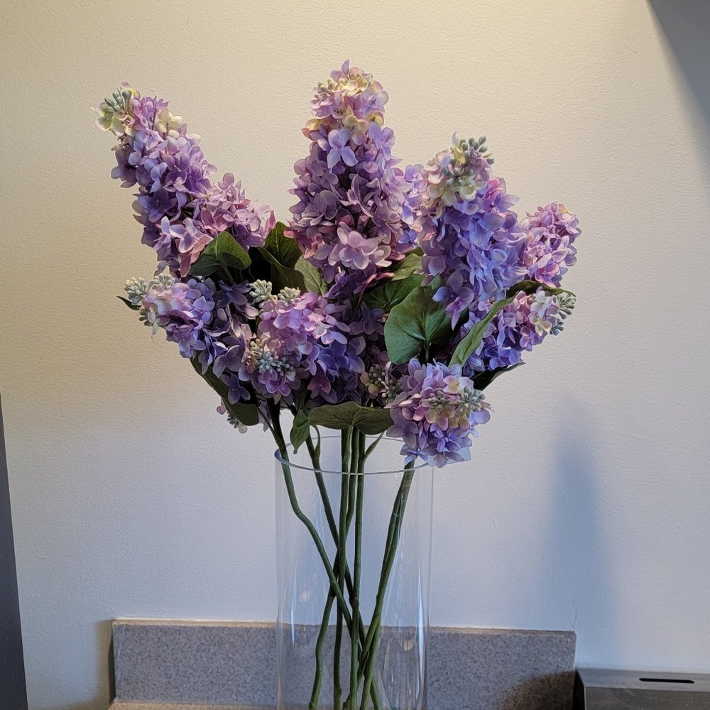 Threshold by Target Lilac Stems